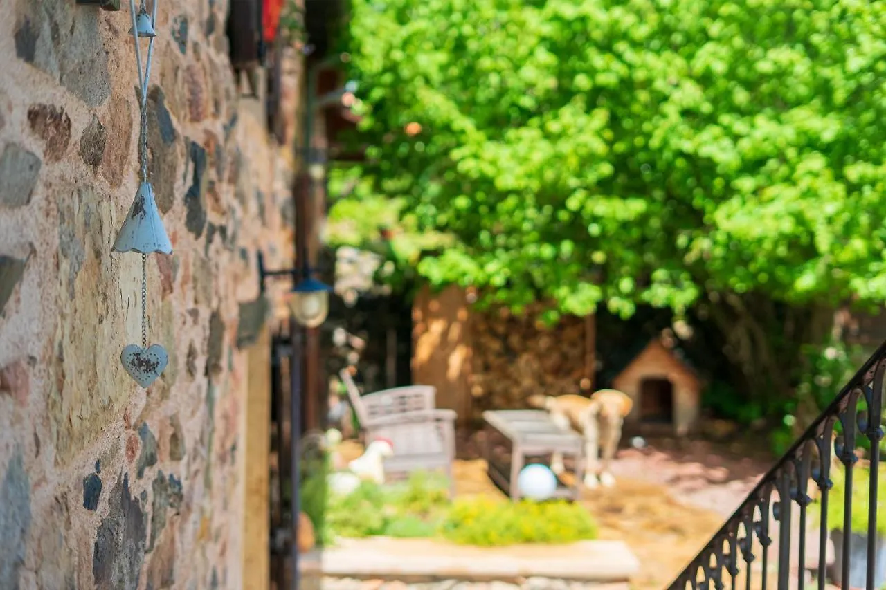 Ce Petit Chemin Bed & Breakfast Cenves 0*,  France